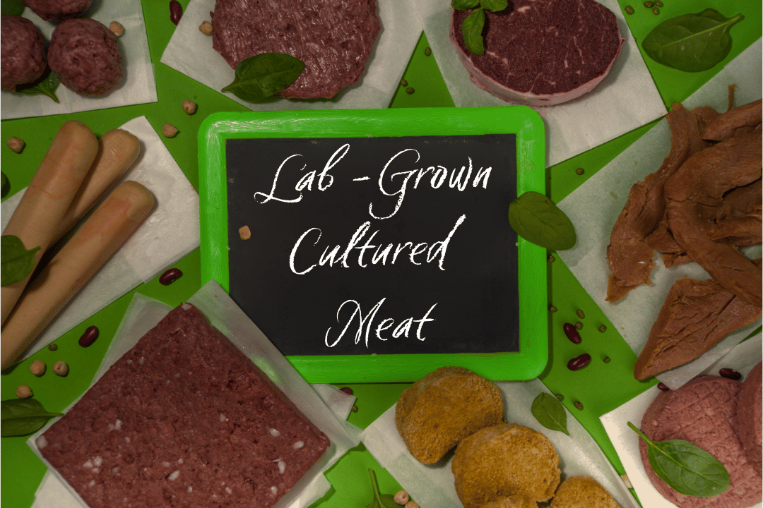 Cultured Meat