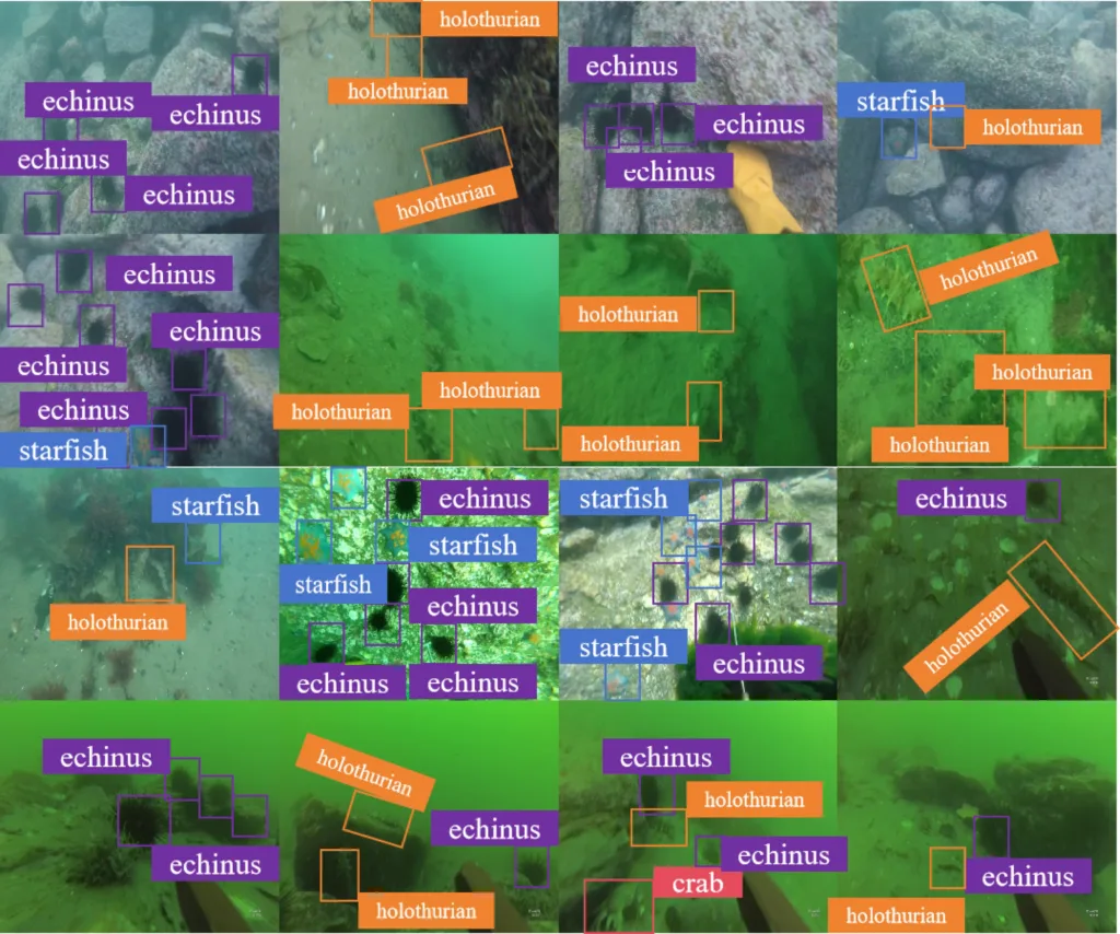 some of the promising results