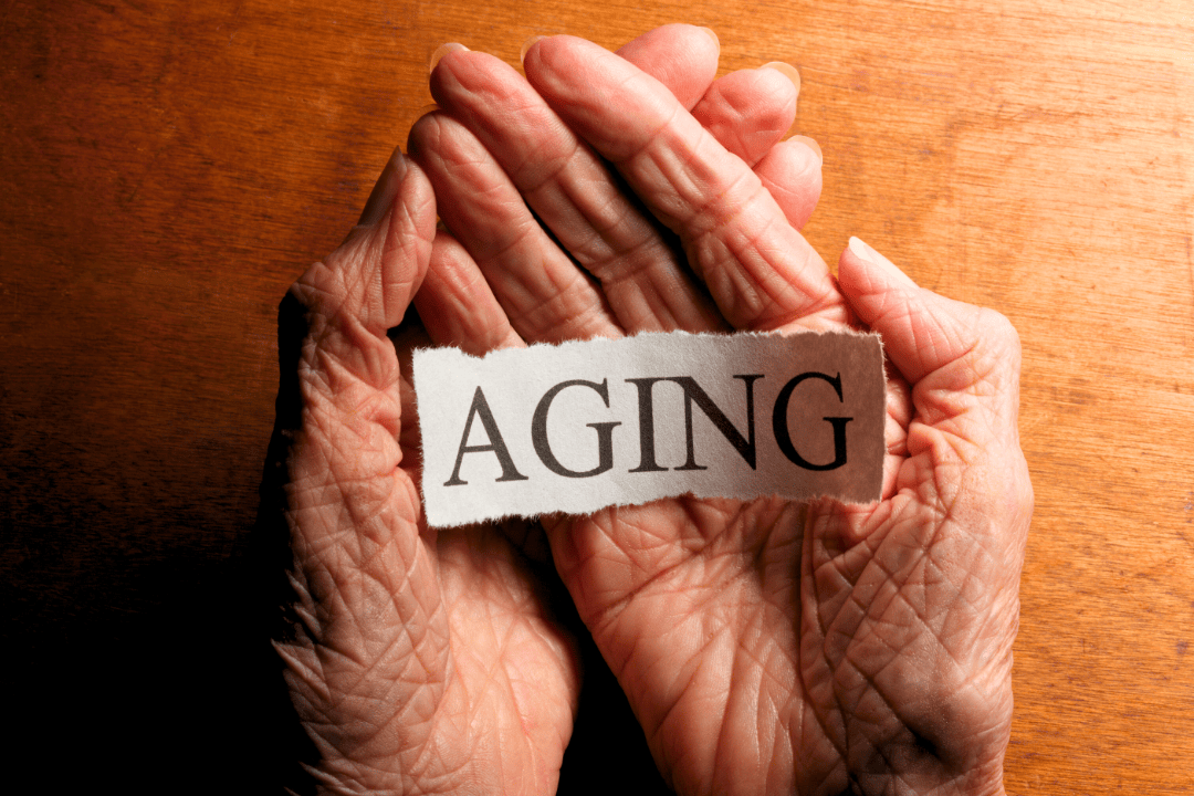 metformin as anti aging