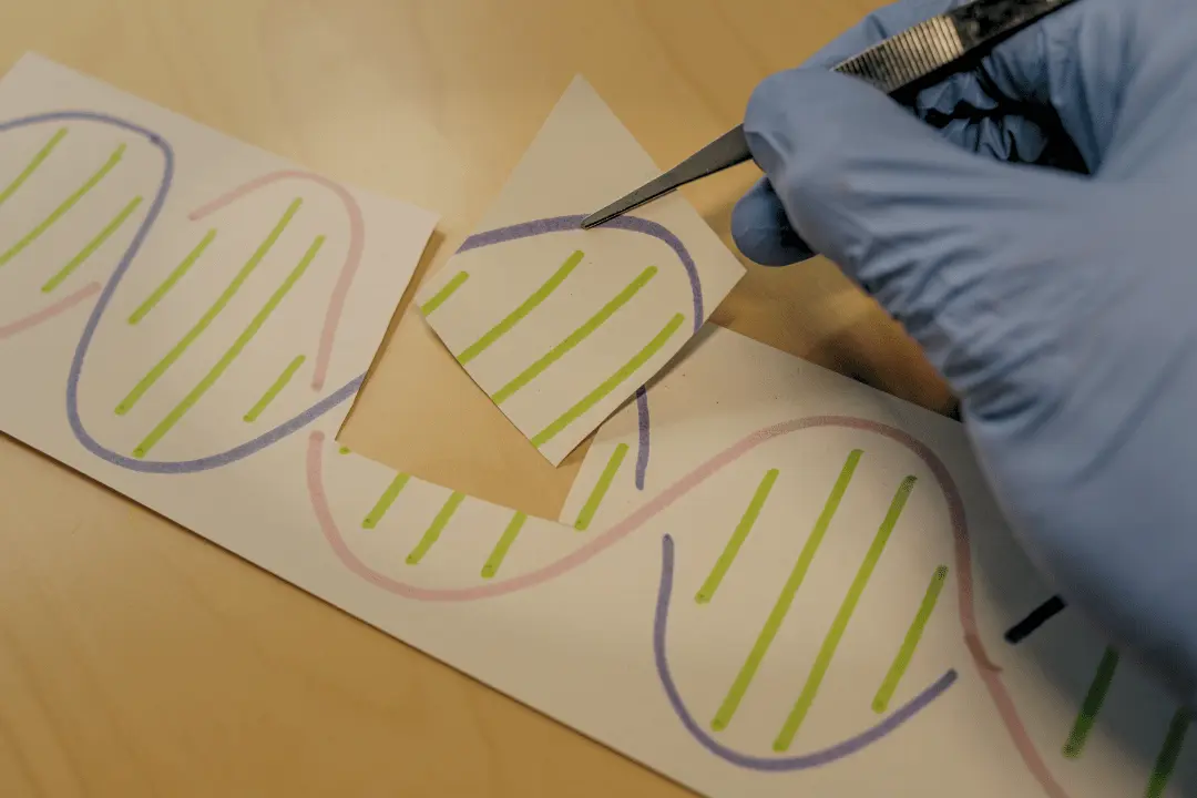 Crispr cas 9 editing showing on page demonstration